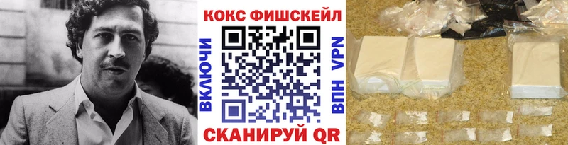 где можно купить наркотик  Цоци-Юрт  Кокаин Fish Scale 