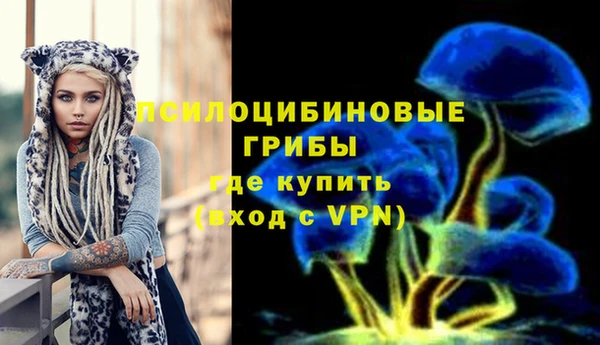 скорость Алзамай