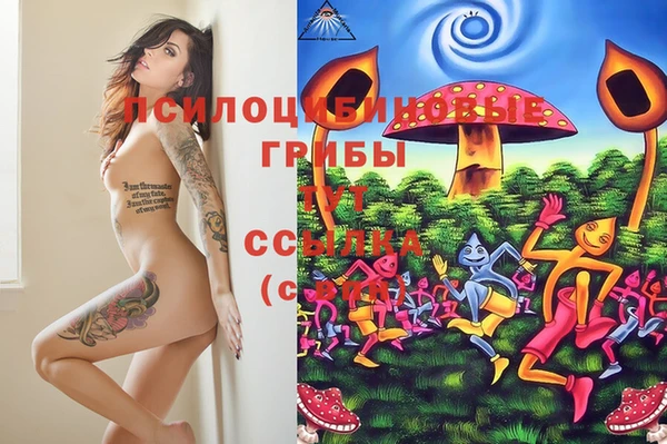 ПСИЛОЦИБИНОВЫЕ ГРИБЫ Алексеевка