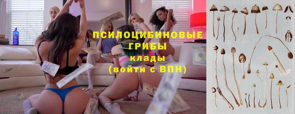 ПСИЛОЦИБИНОВЫЕ ГРИБЫ Алексеевка